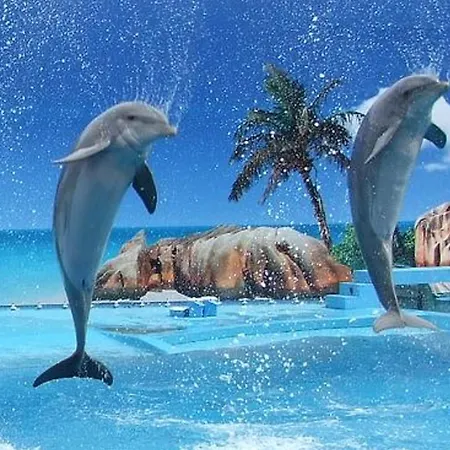 Appartement With 1 Bedroom D